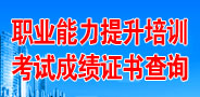 職業(yè)能力提升培訓(xùn)考試成績(jī)證書(shū)查詢